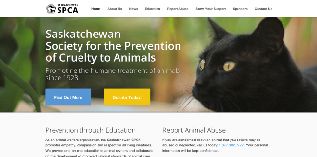 New Sask SPCA Website Design