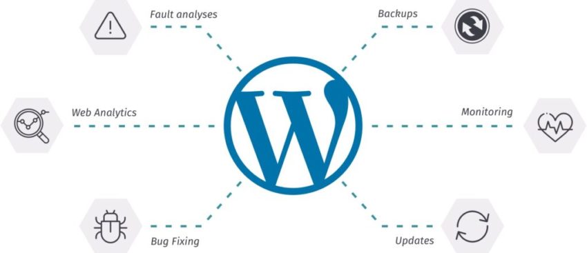 Importance Of Website Maintenance For WordPress Websites - Command Base